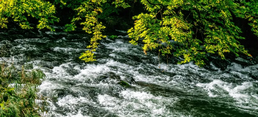 加賀地区イメージ